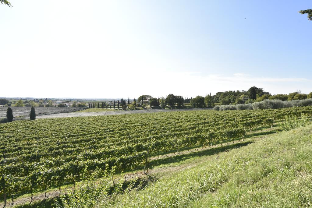 Le Palazzole Guest house