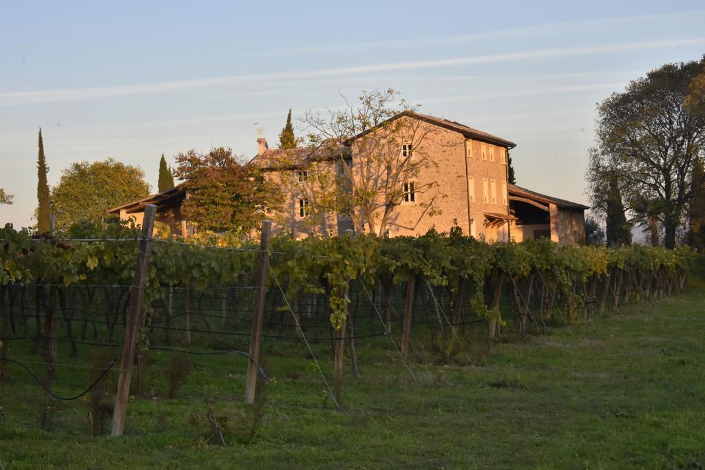 Le Palazzole *
