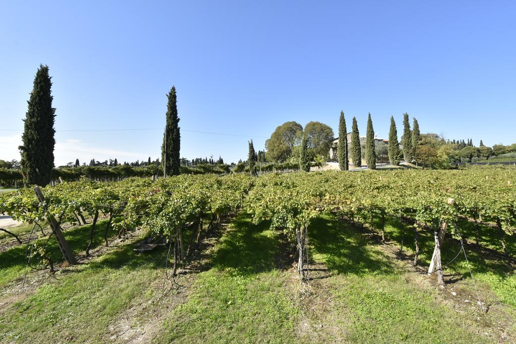 Le Palazzole * Cola (Verona)