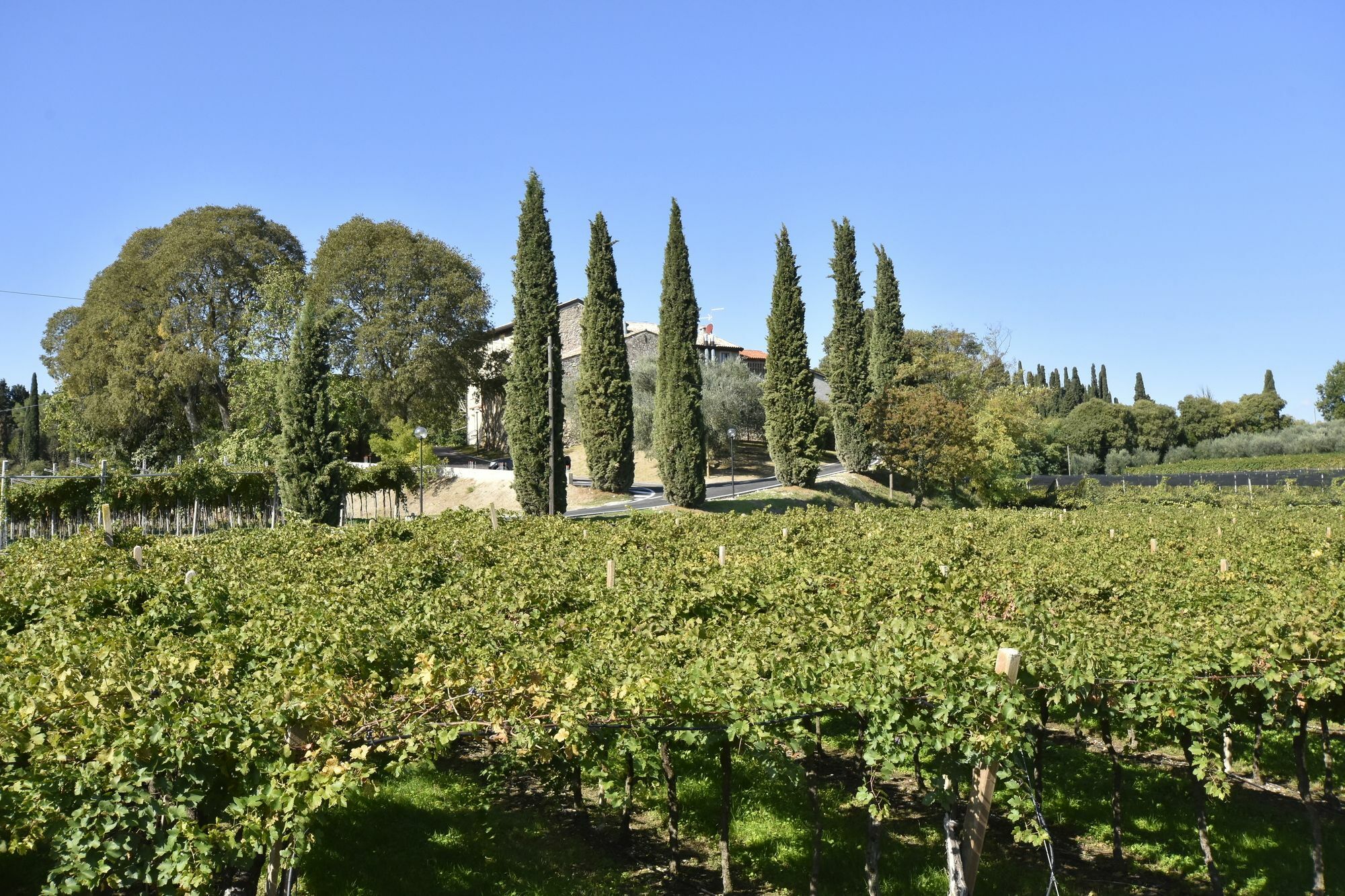 Le Palazzole Guest house